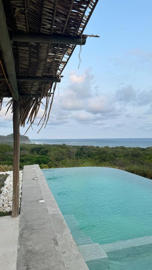 Infinity pool at the edge of the lawn, looking over the jungle to the Pacific